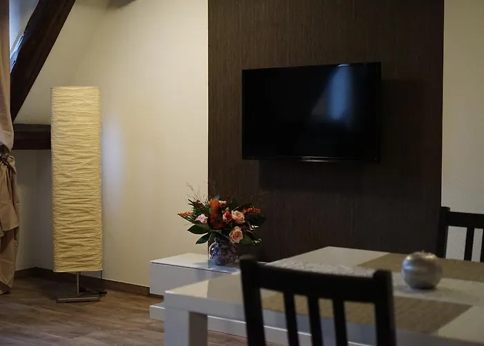 Apartment Kaufmannshaus Anno 1613 *